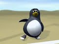 Corrida: Avestruz Vs. Pinguim