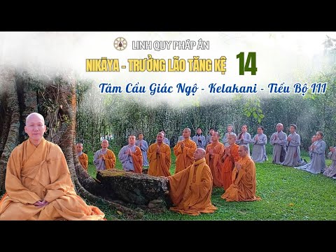NIKAYA Trưởng Lão Tăng Kệ 14 - Tâm Cầu Giác Ngộ - Kelakani - Tiểu Bộ III