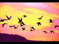 Ahmed & Mohammed Hussain::Mausam Aayenge Jayenge::upon req..