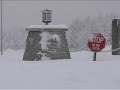 Snowshoe Gets 31