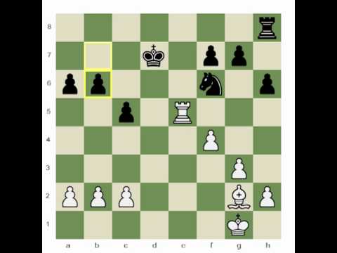 chess knight