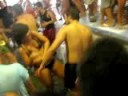 Punda Paros 08