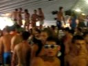 Punda Paros 08