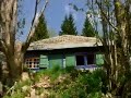 hermann heidegger and hans georg gadamer on the cabin