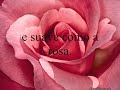 Te amo mãe
