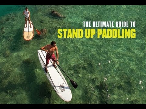 The Ultimate Guide to Stand Up Paddling trailer