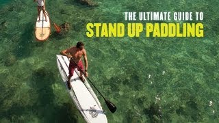 The Ultimate Guide To Stand Up Paddling