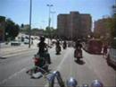 Fogueres 2008 - HDCA