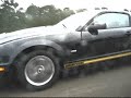 Shelby Mustang GT-H  2 of em...