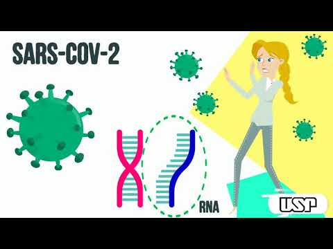 Coronavírus e os alimentos