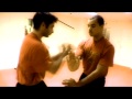 Modern Wing Chun Highlight (Fushan Kwoon) Modern Wing Chun Highlight (Fushan Kwoon)