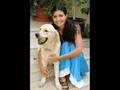 tuba buyukustun
