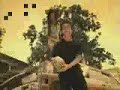 stony skunk - raggamuffin stony skunk - raggamuffin