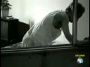Filha batendo na propria mae Filha batendo na propria mae