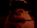 menton drole babyshambles pete doherty