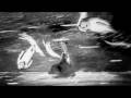 Army Of Me (Stephane Sednaoui Animation)