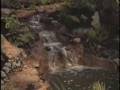 Clark Public Utilities Home and Garden Idea Fair