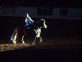 Peruvian Nationals - Freestyle Reining