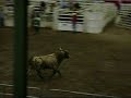 Bull Riding