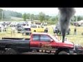 1250hp dodge cummins sled pull