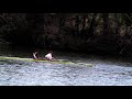 AVIRON