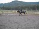 Bounty Hunter (schooling - November 15th)