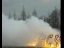 Orze? Zab?ocie - Wis?a Strumie? Wiosna 2008 Orze? Zab?ocie - Wis?a Strumie? Wiosna 2008