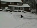 8-14-08 winter home