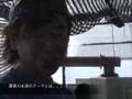 津ヶ谷洋らん園②