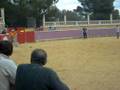 capea 2008