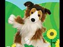 all dog webkinz
