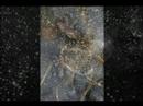 Ice Universe