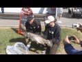 NM i trolling på Mjøsa 2009