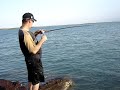 barramundi fishing the rock