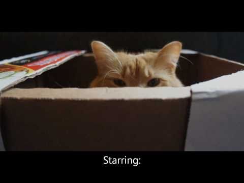 YouTube Preview Image