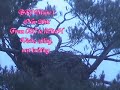 11.0817H BRI Maine 1 Visits Calls Building.wmv
