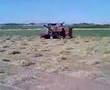 Laverda M120 Harvesting in Turkey...(P2)