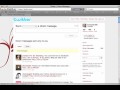 Twittollower video reviews on day 6