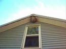 Wasp Nest