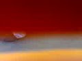Search Video