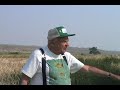 Phil PIster: Rescuing the Owens Pupfish at Fish Slough, Fish in a Bucket Story