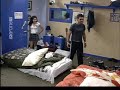 venganza de fer y taide
