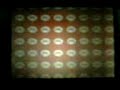 V�deo Animal crossing: wild world, Borton olympics