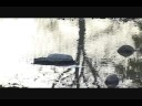 Absentia Absentia
