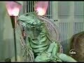 Crazy Iguana fall Crazy Iguana fall