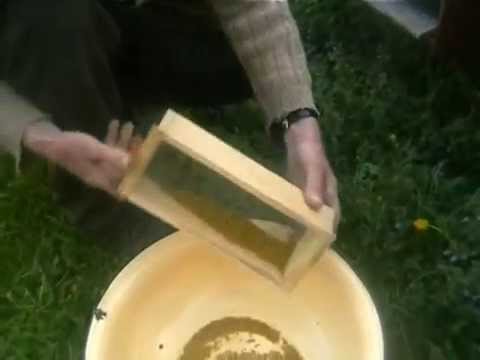 how to harvest bee pollen