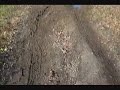 FJ Offroading Trex 450 filming FJ Offroading Trex 450 filming
