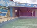 mortal de costa   na piscina