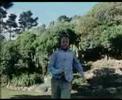 bad-taste-trailer.html