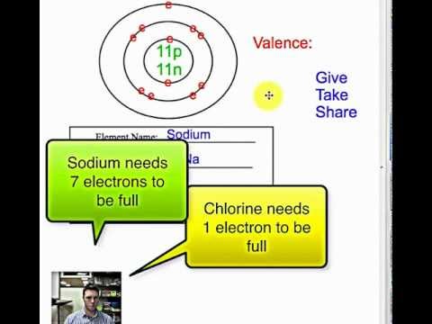 MrHartmanScience -
